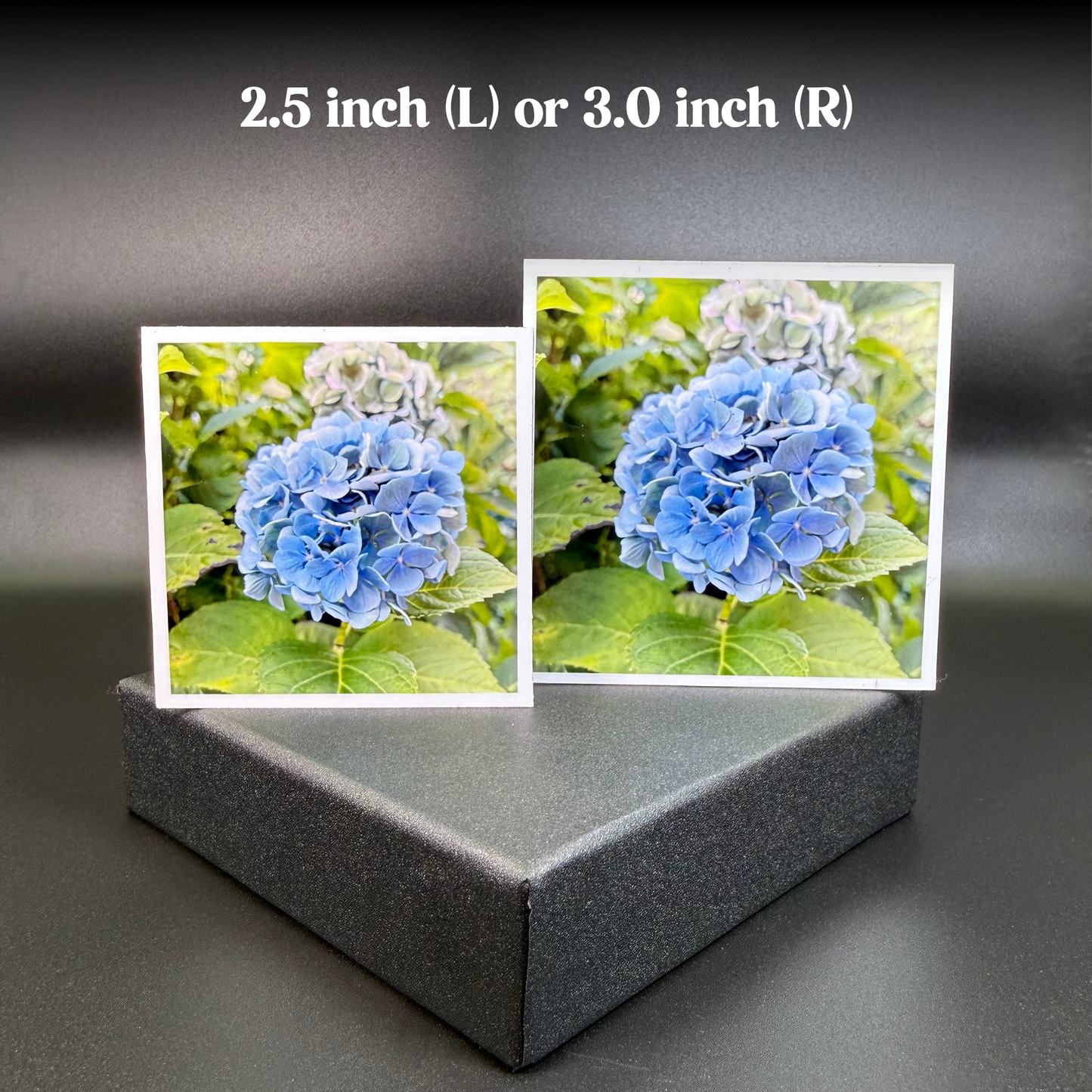 Custom Square Photo Magnets - Set of 12 | Handmade Personalized Keepsake