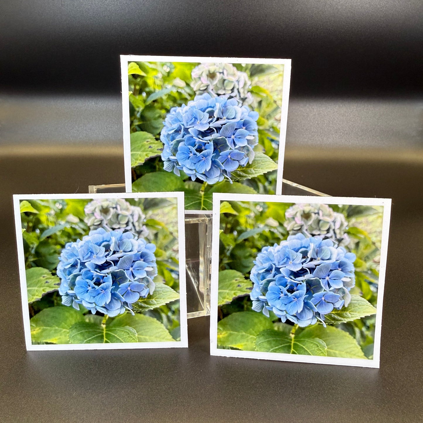 Custom Square Photo Magnets - Set of 12 | Handmade Personalized Keepsake